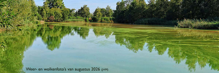 Banner2026_08_895x300