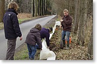 paddenscherm2012