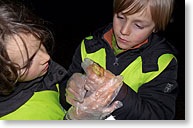 Paddenwandeling2012_03_10