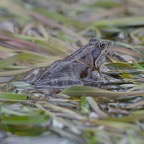 1_D600_DSC3028.jpg