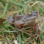 1_D600_DSC3032.jpg