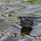 1_D600_DSC3046.jpg