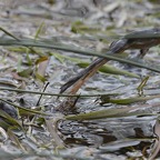 1_D600_DSC3070.jpg