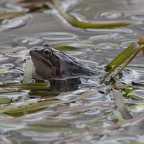 1_D600_DSC3078.jpg
