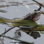 1_D600_DSC3083.jpg