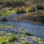 1_D600_DSC3179.jpg