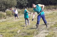 2026_07_25_Beheer_Maldegemveld