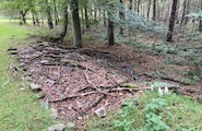 2026_08_06_Duizendknoop