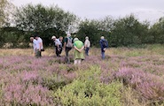 2026_08_18_Planteninventarisatie