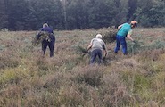 2026_09_26_Beheer_Maldegemveld