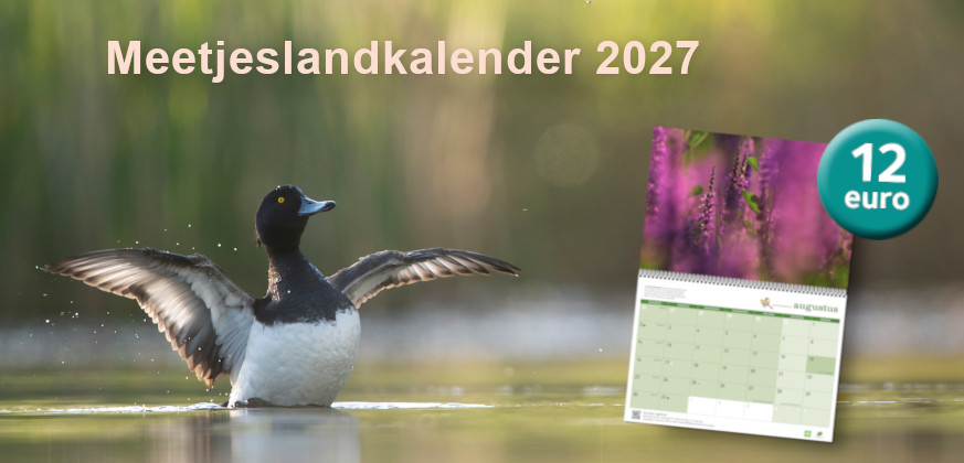2027 Meetjeslandkalender promobanner