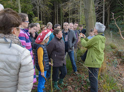 WandelingPaddenstoelenC