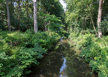 Ede_31_2_D600_DSC4606