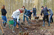 Plaggen185