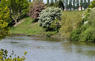 Kanaalberm