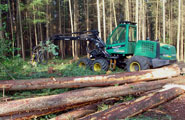 MaldegemveldLife+185