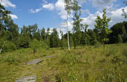 maldegemveld2_185